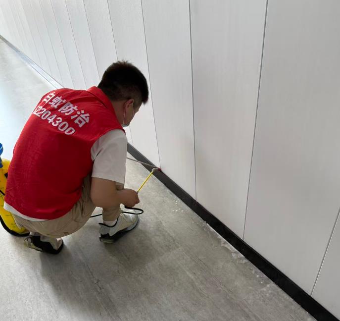 酒店白蚁防治施工