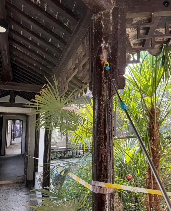 景区连廊被白蚁蛀蚀